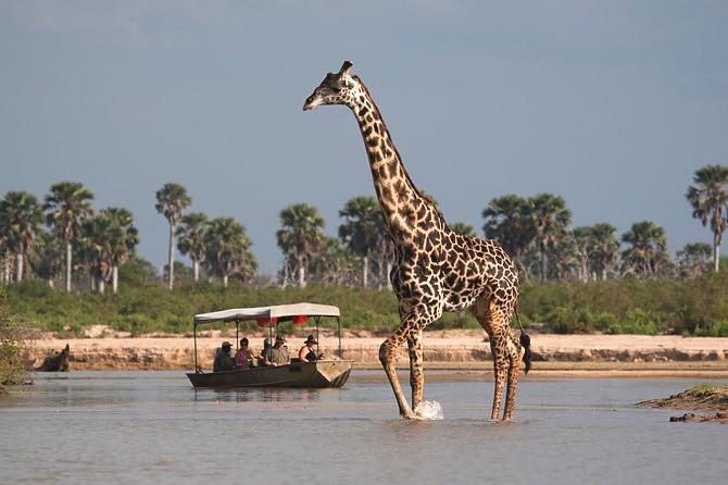 Selous Game Reserve, Tanzania